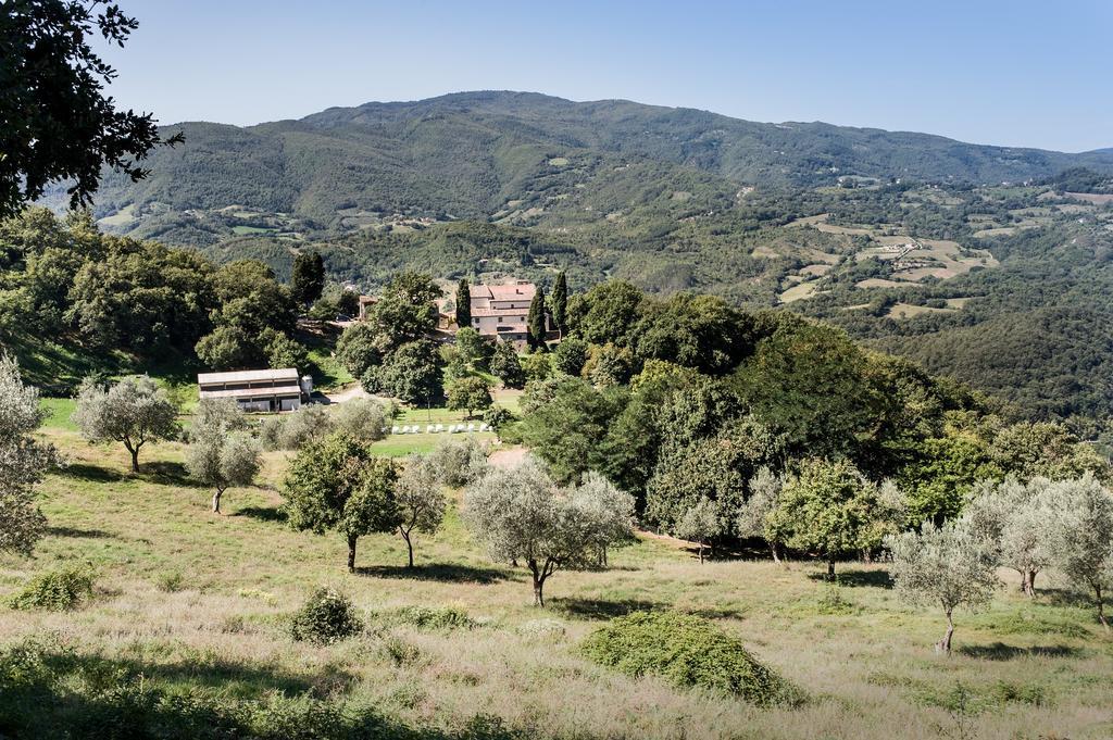 Agriturismo Di Baroni Enzo Dicomano Ngoại thất bức ảnh