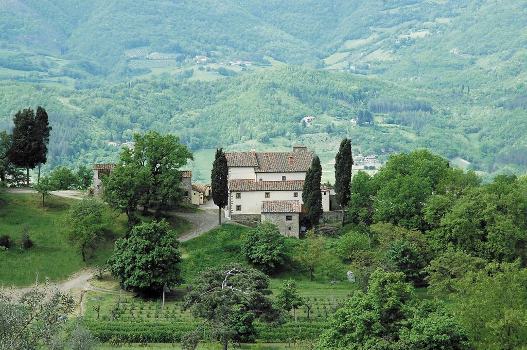 Agriturismo Di Baroni Enzo Dicomano Ngoại thất bức ảnh